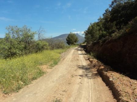 Promenade en pleine nature, le 15 mai 2016