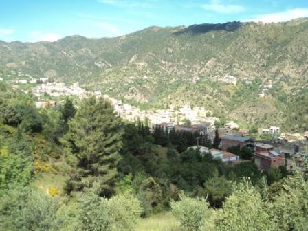 Promenade en pleine nature, le 15 mai 2016