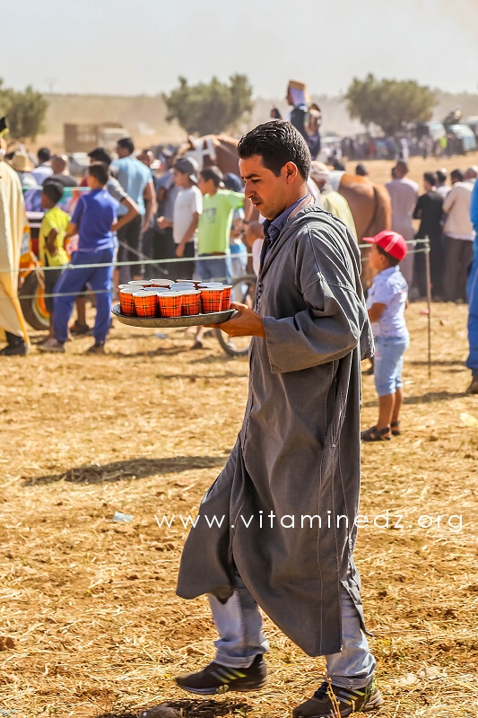 Organisation et logistique - Waada de Ain Youcef (Daïra de Remchi - Tlemcen)
