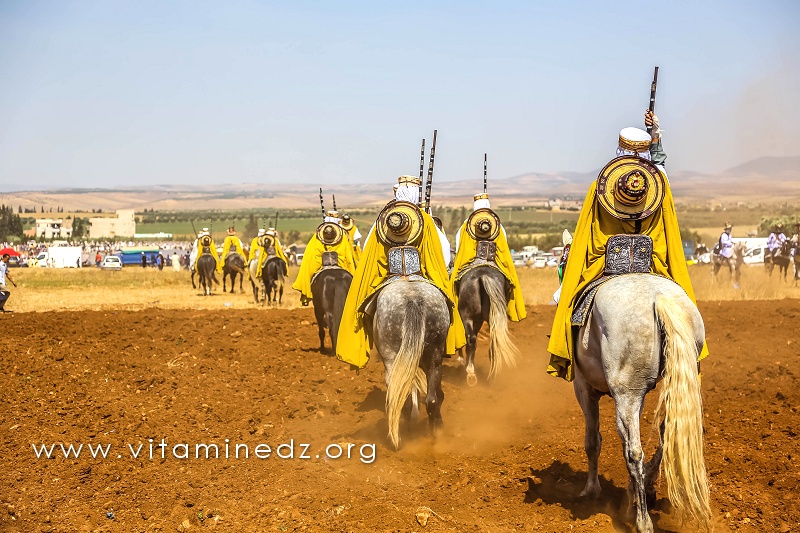 3alfa (cavalerie) - Waada de Ain Youcef (Daïra de Remchi - Tlemcen)