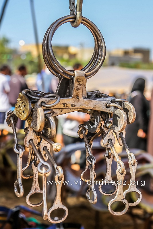 Waada de Ain Youcef (Daïra de Remchi - Tlemcen)