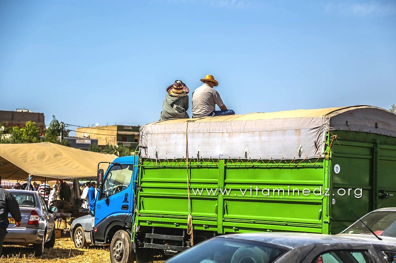 Waada de Ain Youcef (Daïra de Remchi - Tlemcen)