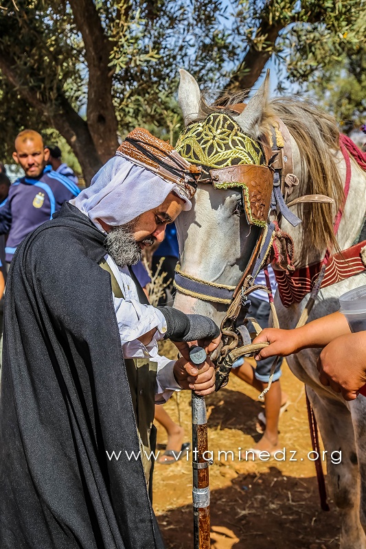 Cavalier - Waada de Ain Youcef (Daïra de Remchi - Tlemcen)