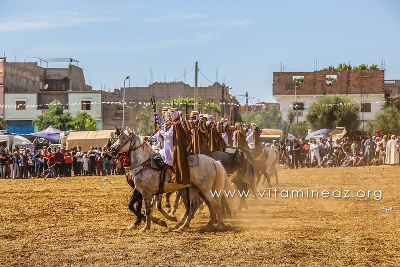 Fantasia - Waada de Ain Youcef (Daïra de Remchi - Tlemcen)