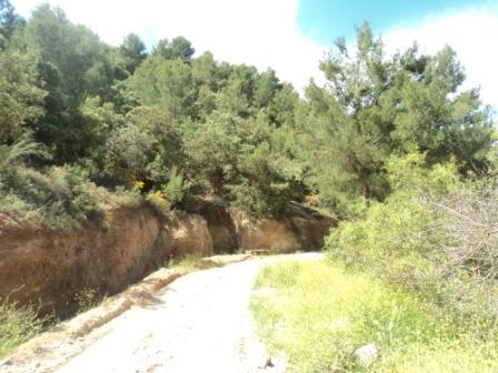 Promenade en pleine nature, le 15 mai 2016