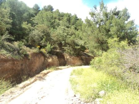 Promenade en pleine nature, le 15 mai 2016