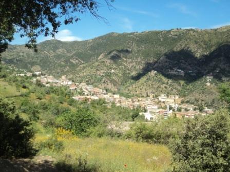 Promenade en pleine nature, le 15 mai 2016