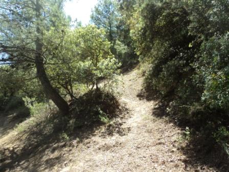 Promenade en pleine nature, le 15 mai 2016