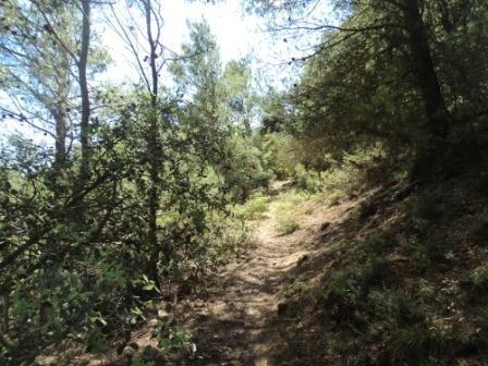 Promenade en pleine nature, le 15 mai 2016