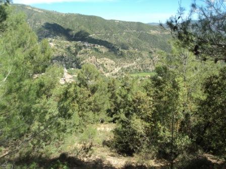 Promenade en pleine nature, le 15 mai 2016