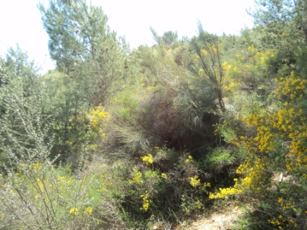 Promenade en pleine nature, le 15 mai 2016