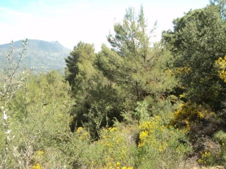 Promenade en pleine nature, le 15 mai 2016