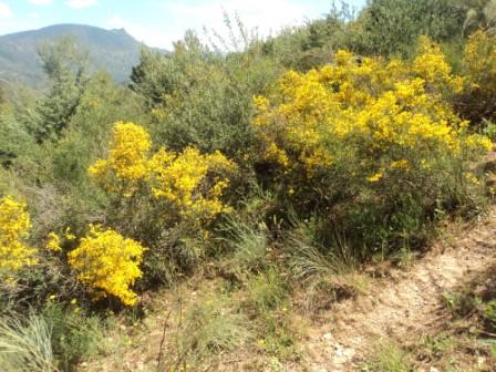 Promenade en pleine nature, le 15 mai 2016