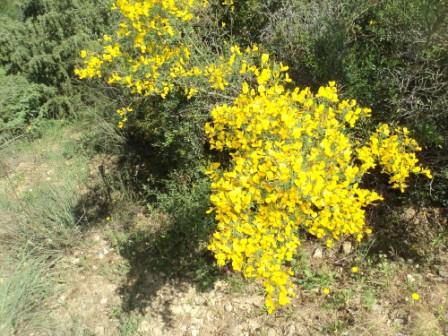 Promenade en pleine nature, le 15 mai 2016