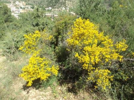 Promenade en pleine nature, le 15 mai 2016