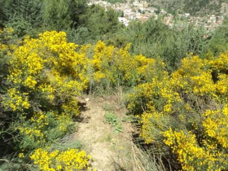 Promenade en pleine nature, le 15 mai 2016