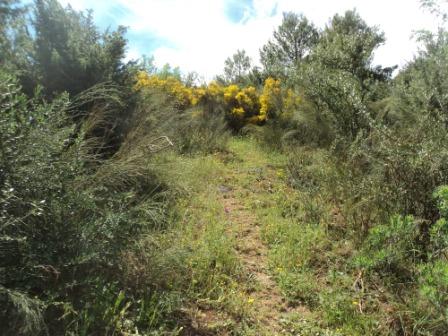Promenade en pleine nature, le 15 mai 2016