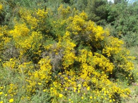 Promenade en pleine nature, le 15 mai 2016