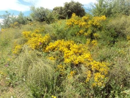 Promenade en pleine nature, le 15 mai 2016