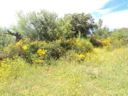 Promenade en pleine nature, le 15 mai 2016