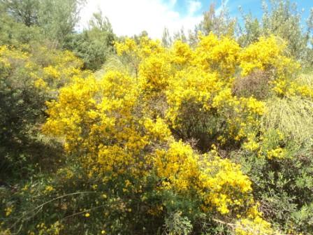 Promenade en pleine nature, le 15 mai 2016