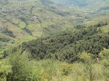 Promenade en pleine nature, le 15 mai 2016