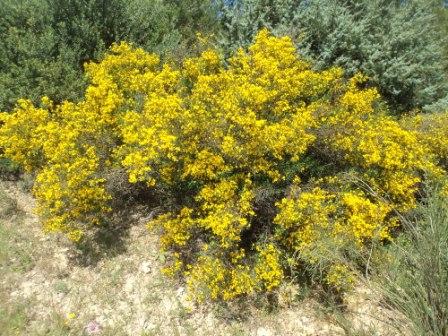 Promenade en pleine nature, le 15 mai 2016