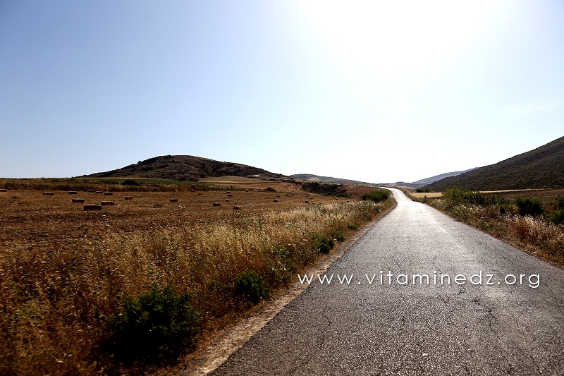 La commune de Sidi Ouriache est riche en terres agricoles