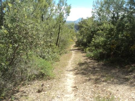 Promenade en pleine nature, le 15 mai 2016