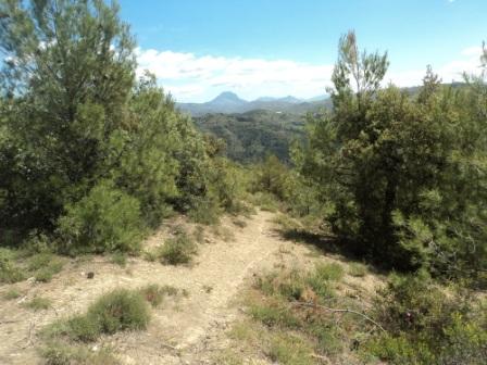 Promenade en pleine nature, le 15 mai 2016