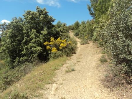 Promenade en pleine nature, le 15 mai 2016