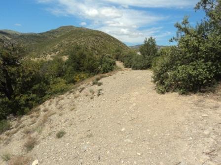 Promenade en pleine nature, le 15 mai 2016