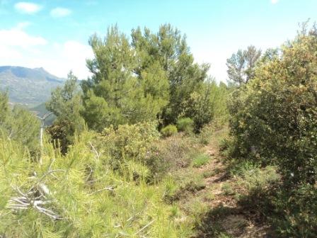 Promenade en pleine nature, le 15 mai 2016