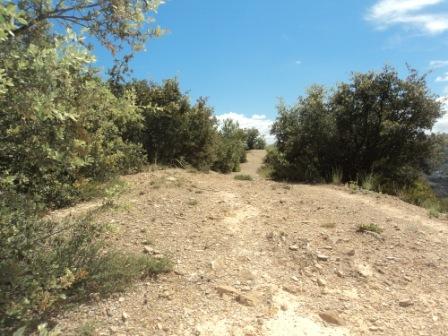 Promenade en pleine nature, le 15 mai 2016