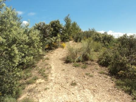 Promenade en pleine nature, le 15 mai 2016