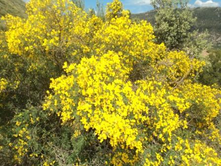 Promenade en pleine nature, le 15 mai 2016