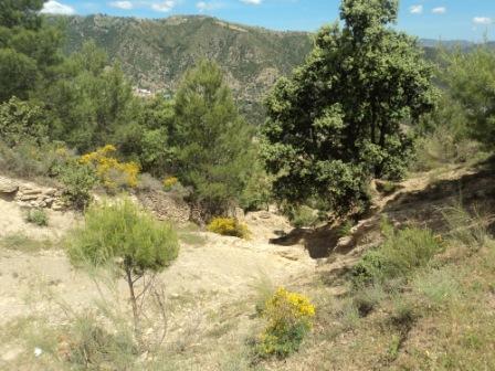 Promenade en pleine nature, le 15 mai 2016