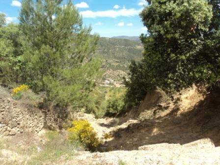 Promenade en pleine nature, le 15 mai 2016