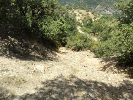 Promenade en pleine nature, le 15 mai 2016