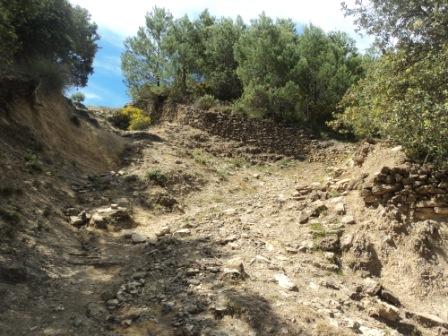 Promenade en pleine nature, le 15 mai 2016