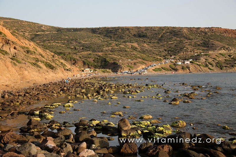Plage de Malousse (W. Ain Temouchent)