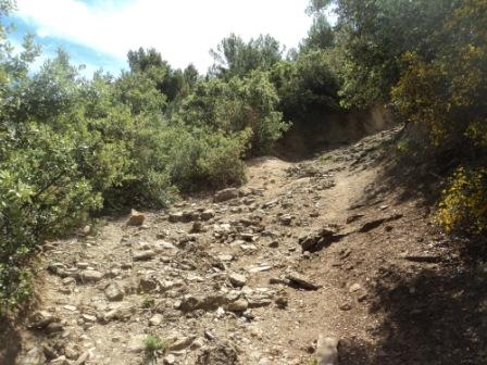 Promenade en pleine nature, le 15 mai 2016