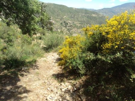 Promenade en pleine nature, le 15 mai 2016