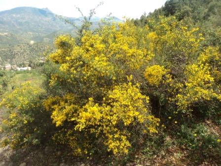Promenade en pleine nature, le 15 mai 2016