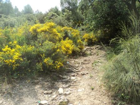 Promenade en pleine nature, le 15 mai 2016