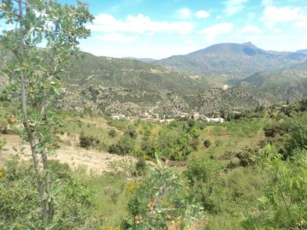 Promenade en pleine nature, le 15 mai 2016