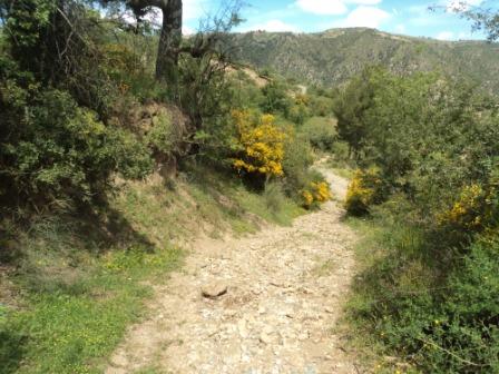 Promenade en pleine nature, le 15 mai 2016