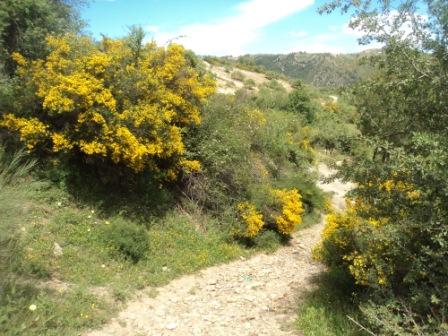 Promenade en pleine nature, le 15 mai 2016