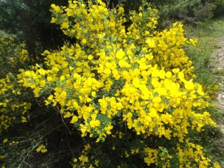 Promenade en pleine nature, le 15 mai 2016