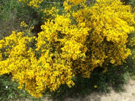 Promenade en pleine nature, le 15 mai 2016